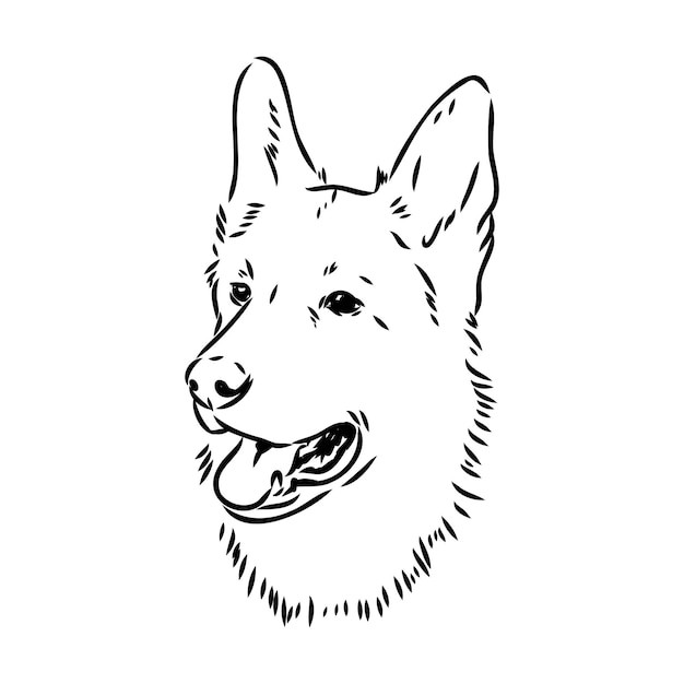 德国牧羊犬德牧黑贝插画