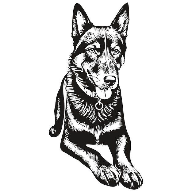 德国牧羊犬德牧黑贝插画