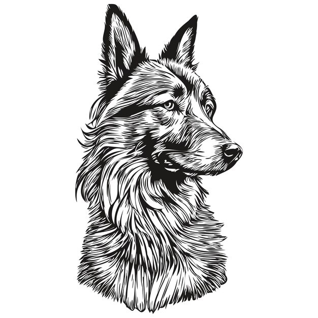 德国牧羊犬德牧黑贝插画