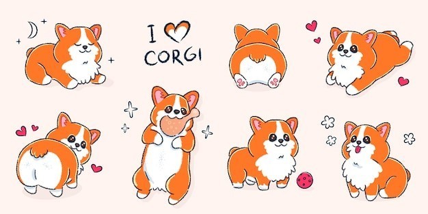 可爱的卡通柯基犬小狗插画