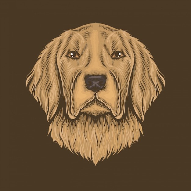 手绘金毛犬小狗插画