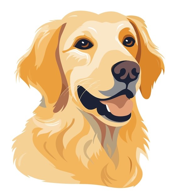 手绘金毛犬小狗插画