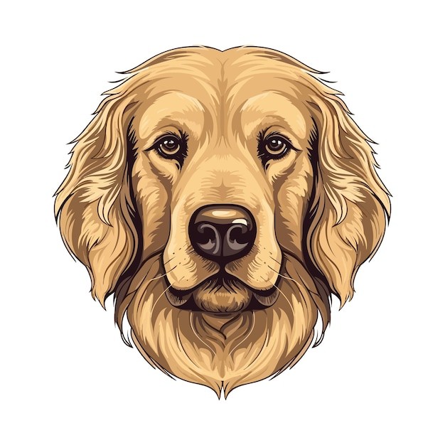 手绘金毛犬小狗插画