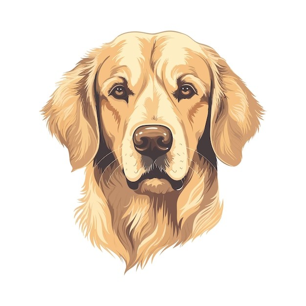 手绘金毛犬小狗插画