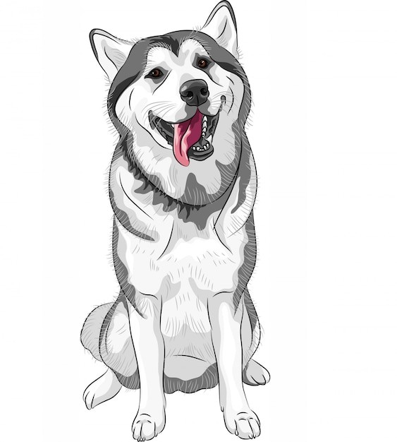 哈士奇犬小狗插画