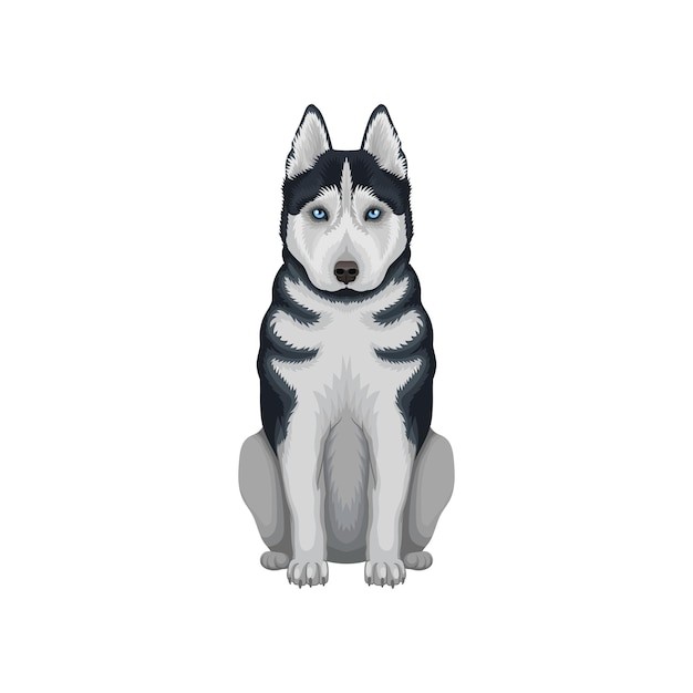 哈士奇犬小狗插画