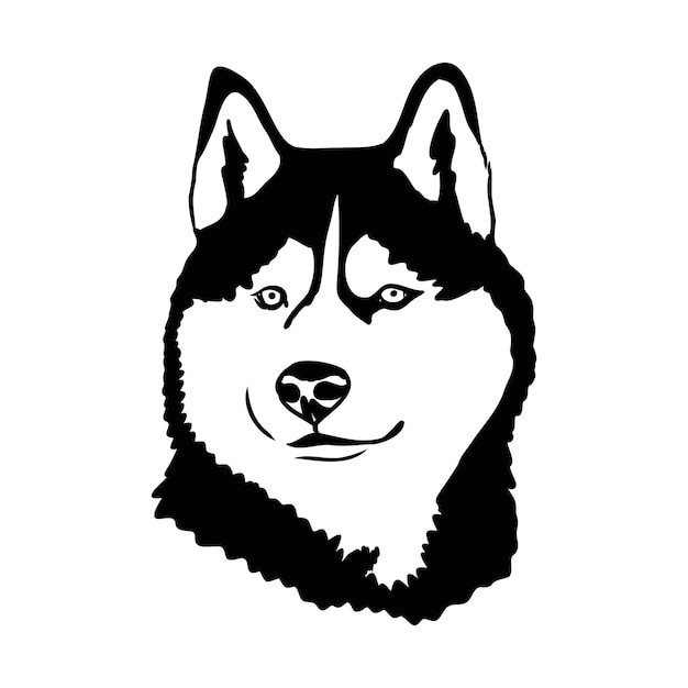 哈士奇犬小狗插画