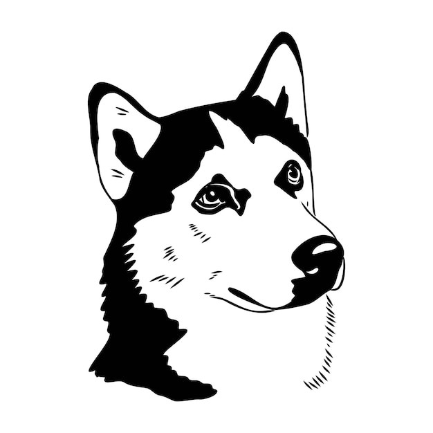 哈士奇犬小狗插画