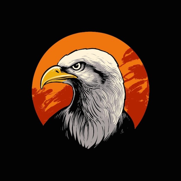 老鹰白头鹰插画