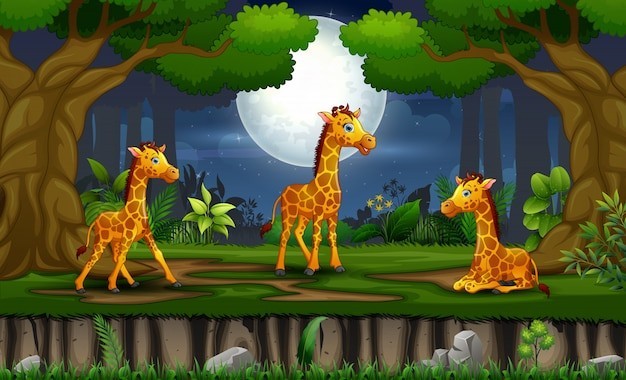 卡通长颈鹿动物插画