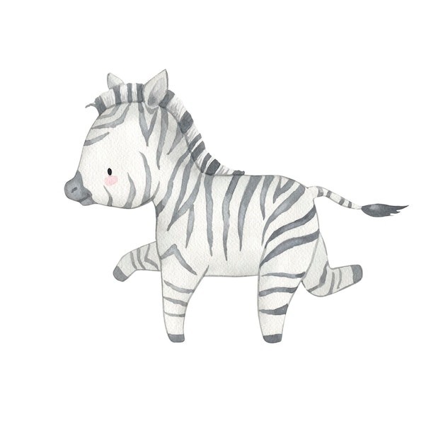 斑马插画