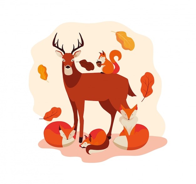 你好秋天插图与鹿动物和叶子