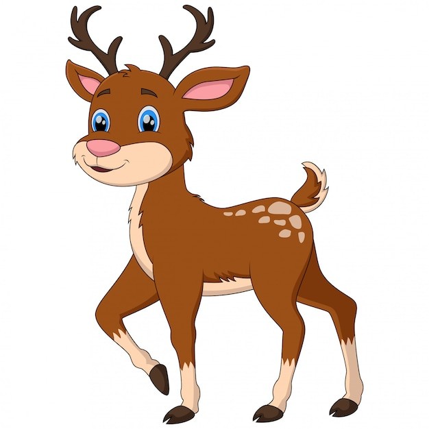 白色可爱的鹿卡通