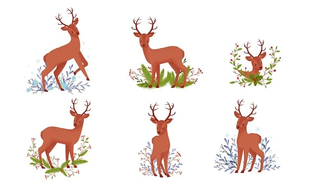可爱的鹿，有鹿角，站立姿势，其下方有冬季植物群矢量集