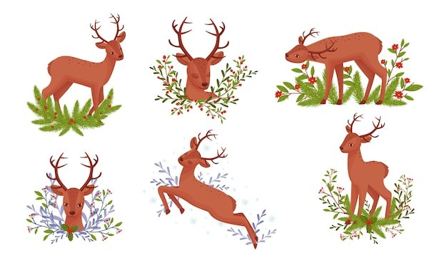 鹿角站在花枝矢量集