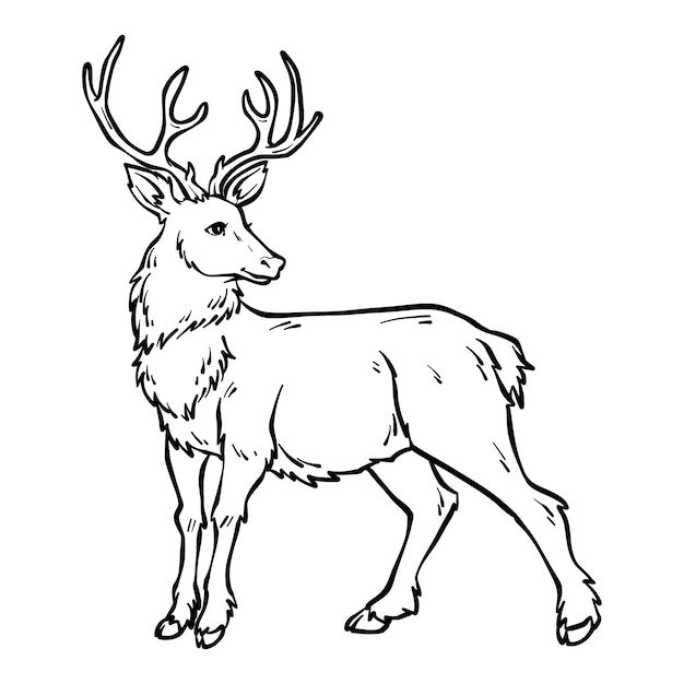 手绘鹿轮廓图