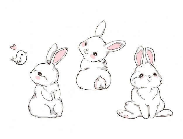 卡通兔子插画