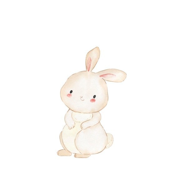 卡通兔子插画