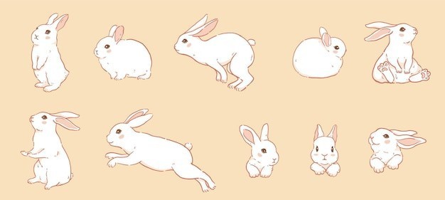 卡通兔子插画