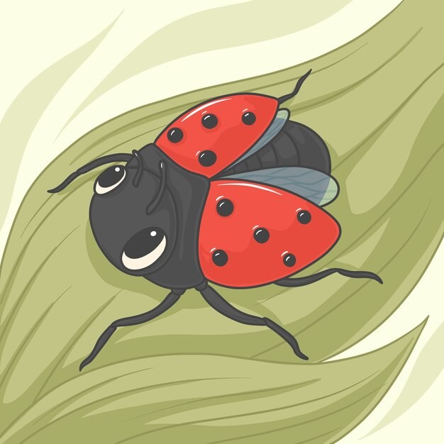 瓢虫昆虫插画