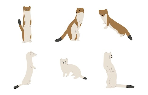 卡通鼠鼬动物插画