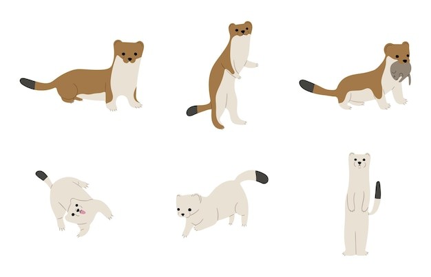 卡通鼠鼬动物插画