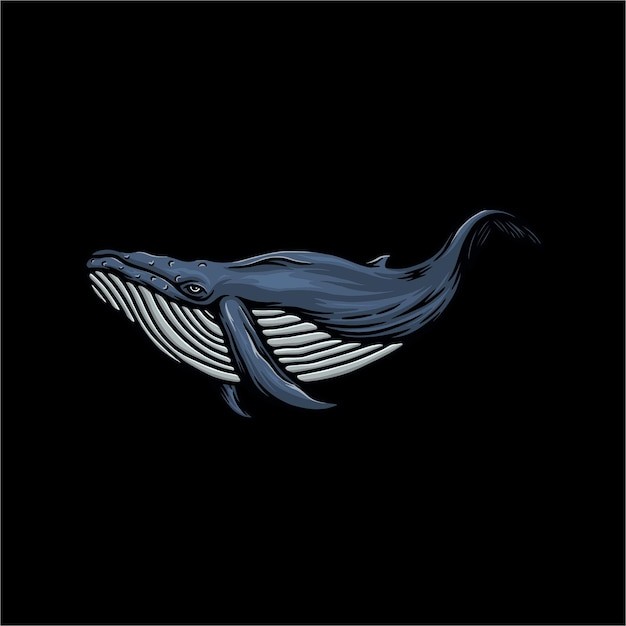 手绘鲸鱼插画