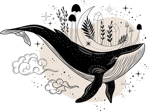 手绘鲸鱼插画