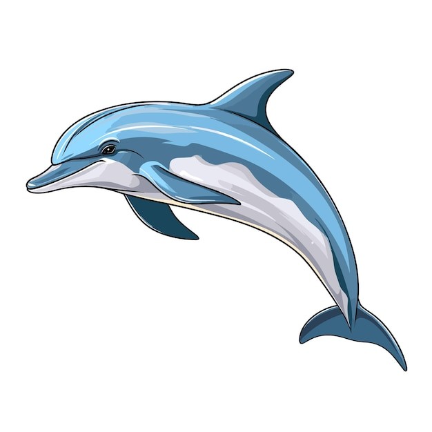 卡通海豚插画
