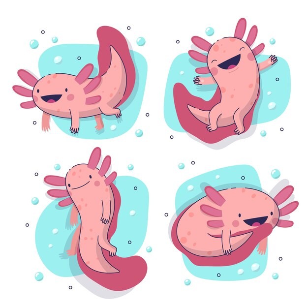 可爱卡通蝾螈插画