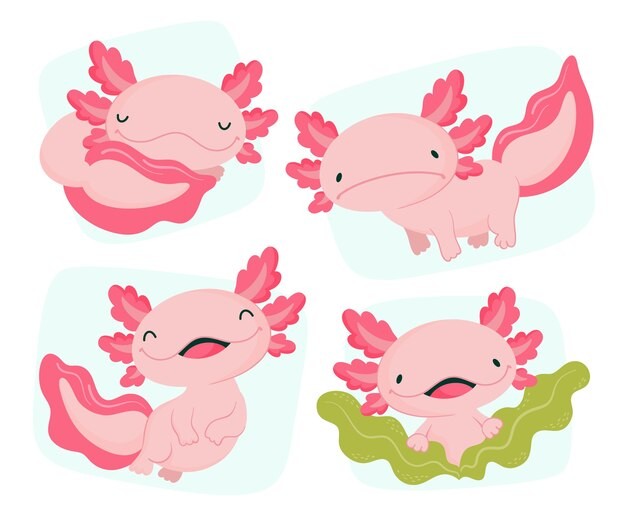 可爱卡通蝾螈插画