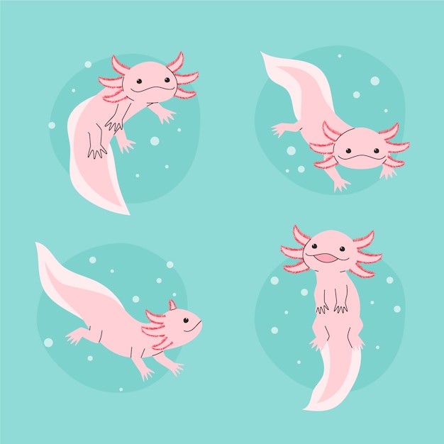 可爱卡通蝾螈插画