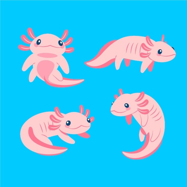 可爱卡通蝾螈插画