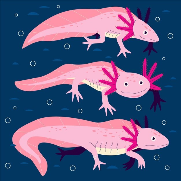 可爱卡通蝾螈插画