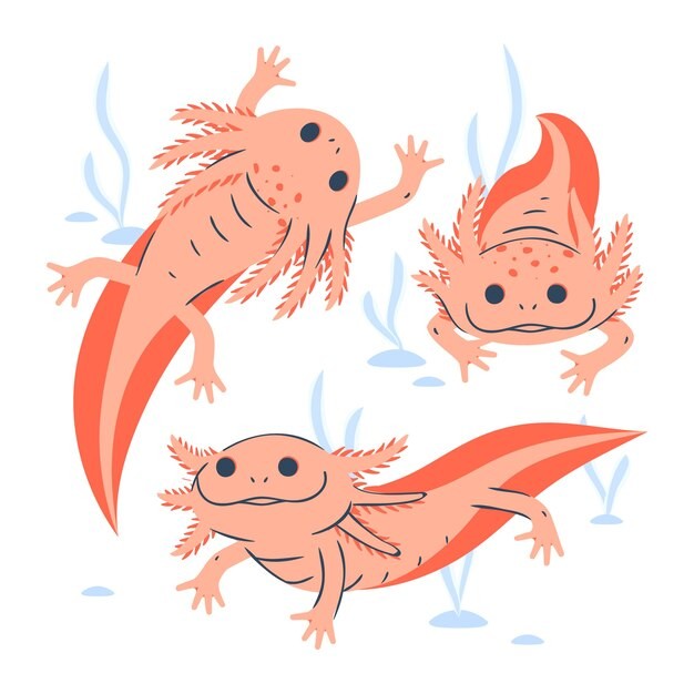 可爱卡通蝾螈插画