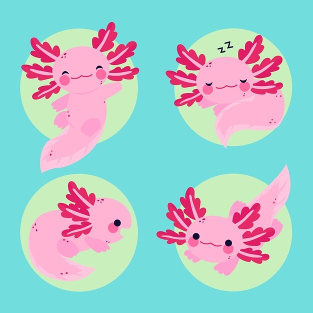 可爱卡通蝾螈插画