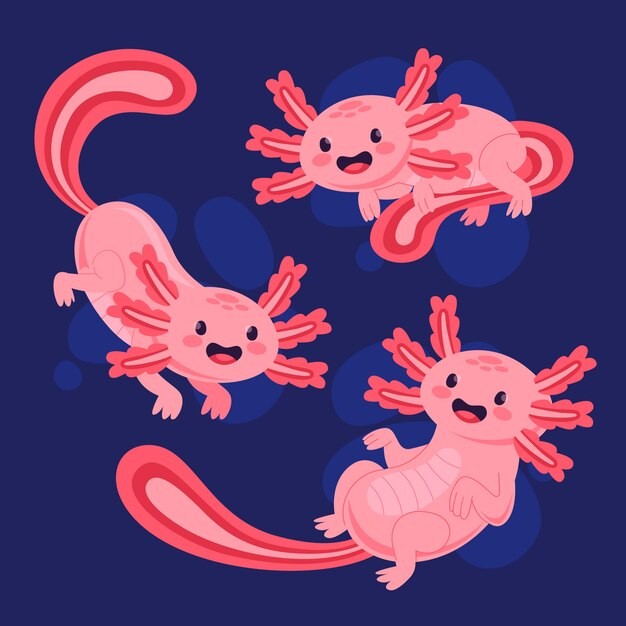 可爱卡通蝾螈插画