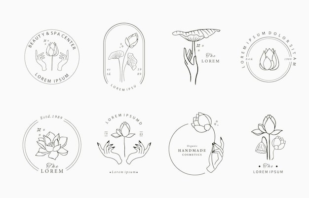 花朵花卉莲花标志logo