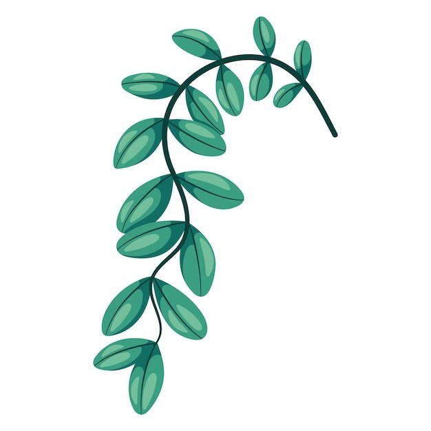 植物枝条叶子树叶