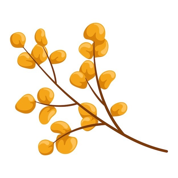 植物枝条叶子树叶