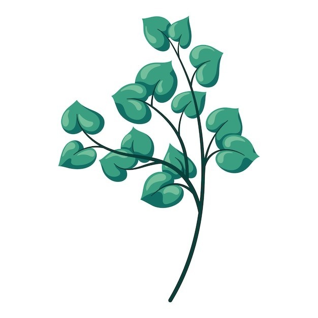 植物枝条叶子树叶