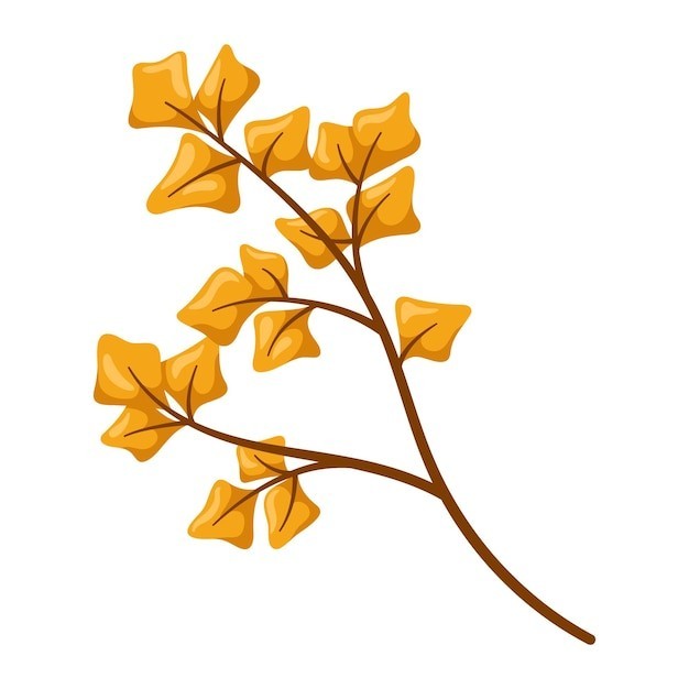 植物枝条叶子树叶