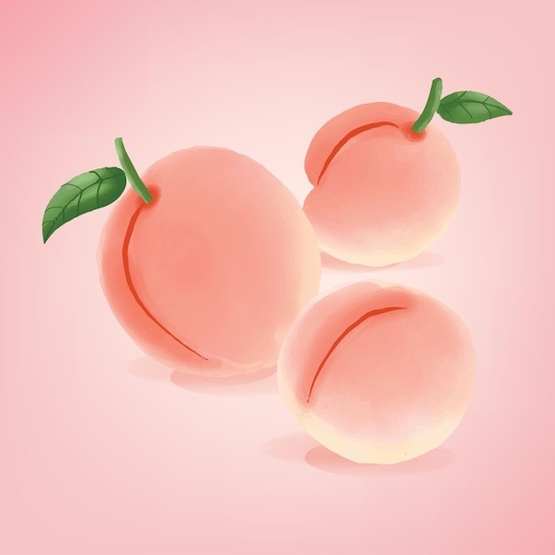 桃子水蜜桃插画元素