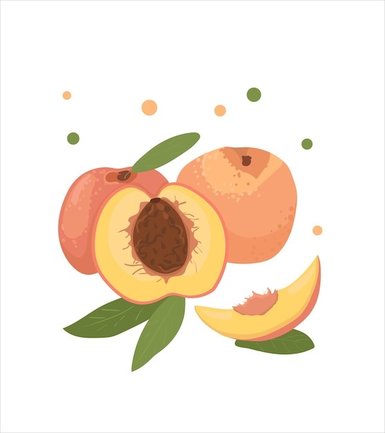 桃子水蜜桃插画元素