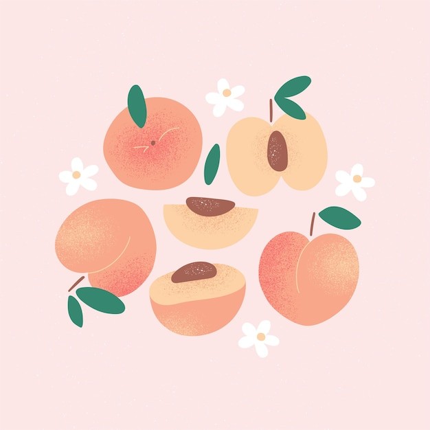 桃子水蜜桃插画元素