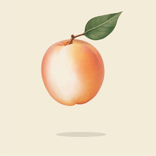 桃子水蜜桃插画元素