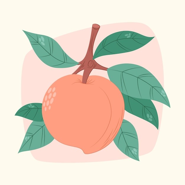 桃子水蜜桃插画元素