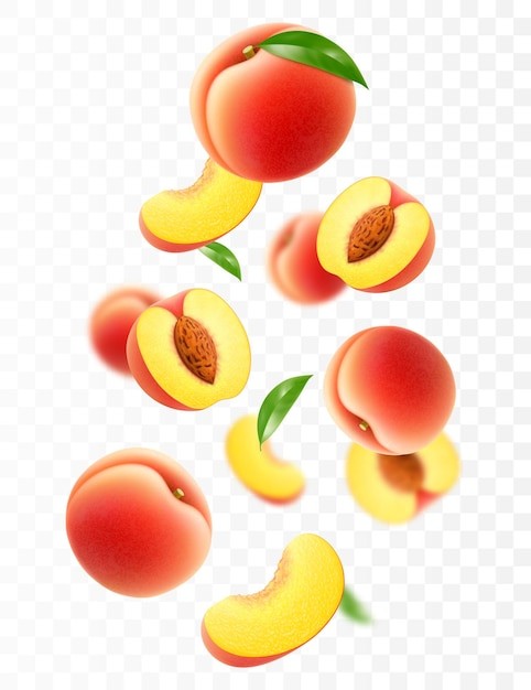 桃子水蜜桃插画元素