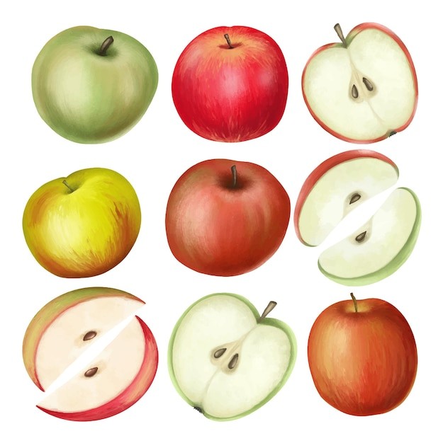青苹果水果插画元素