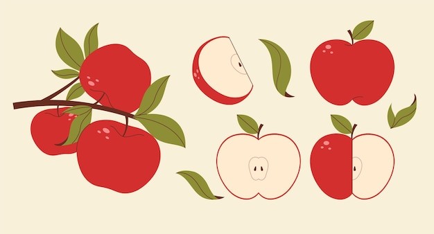 苹果水果插画元素